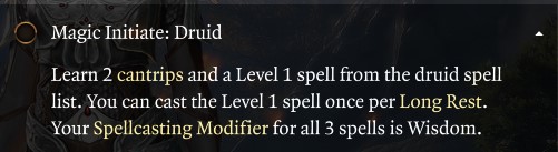 Baldur's Gate 3 Magic Initiate Druid Feat