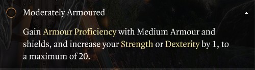 Baldur's Gate 3 Moderately Armoured Feat