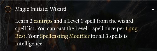 Baldur's Gate3 Magic Initiate Wizard Feat